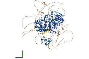 Protein Structure (PS) image for Myotubularin Related Protein 3 (MTMR3) (AA 1-1198) protein (His tag) (ABIN7554619)