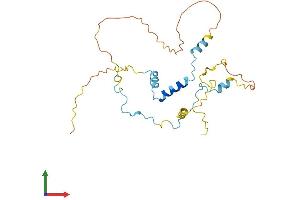 AlphaFold protein structure predicition of Human Recombinant MYOZ3 Protein, UniprotID Q8TDC0