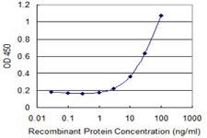 Detection limit for recombinant GST tagged ZNF266 is 1 ng/ml as a capture antibody. (ZNF266 antibody  (AA 274-346))