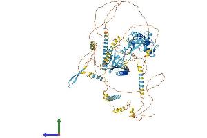 Protein Structure (PS) image for PDZ Domain Containing Ring Finger 3 (PDZRN3) (AA 1-1063) protein (His tag) (ABIN7564026)
