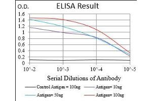 Black line: Control Antigen (100 ng), Purple line: Antigen(10 ng), Blue line: Antigen (50 ng), Red line: Antigen (100 ng), (CD45 antibody  (AA 928-989))