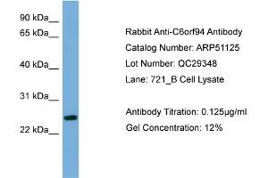 WB Suggested Anti-C6orf94  Antibody Titration: 0. (FAM164B antibody  (N-Term))