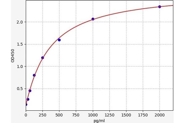 Caspase 12 ELISA Kit