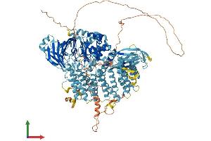 Protein Structure (PS) image for TAF2 RNA Polymerase II, TATA Box Binding Protein (TBP)-Associated Factor, 150kDa (TAF2) (AA 1-1199) protein (His tag) (ABIN7555722)