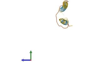 AlphaFold protein structure predicition of Human Recombinant LINC00312 Protein, UniprotID Q9Y6C7 (LINC00312 Protein (AA 1-94) (His tag))
