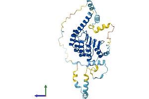 Protein Structure (PS) image for Tropomodulin 3 (TMOD3) (AA 1-352) protein (His tag) (ABIN7544657)