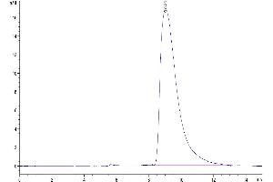 Size-exclusion chromatography-High Pressure Liquid Chromatography (SEC-HPLC) image for SLAM Family Member 6 (SLAMF6) (AA 22-226) protein (His-Avi Tag) (ABIN7275622)