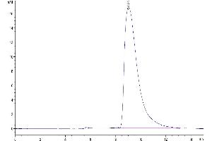 The purity of Human SLAMF6 is greater than 95 % as determined by SEC-HPLC. (SLAMF6 Protein (AA 22-226) (His-Avi Tag))