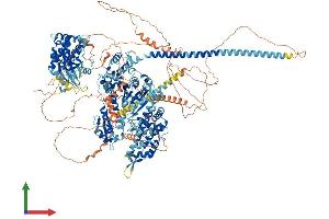 AlphaFold protein structure predicition of Human Recombinant MYO3A Protein, UniprotID Q8NEV4 (MYO3A Protein (AA 1-1616) (His tag))