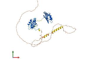 Protein Structure (PS) image for RNA Binding Motif Protein 4 (RBM4) (AA 1-361) protein (His tag) (ABIN7564522)