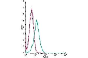 Cell surface detection of D2 dopamine receptor by indirect flow cytometry in live intact human Jurkat T-cell leukemia cells: (black line) Cells. (Dopamine d2 Receptor antibody  (Extracellular, N-Term))