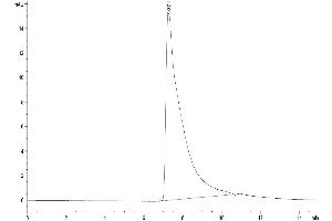 The purity of Biotinylated Human CD4 is greater than 95 % as determined by SEC-HPLC. (CD4 Protein (CD4) (His-Avi Tag,Biotin))
