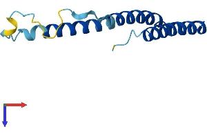 AlphaFold protein structure predicition of Mouse Recombinant mt-Nd3 Protein, UniprotID P03899 (MT-ND3 Protein (AA 1-115) (His tag))