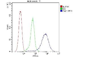 Flow Cytometry analysis of 293T cells using anti-CA2 antibody (ABIN6719533). (CA2 antibody  (AA 2-260))