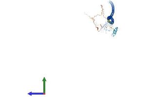 AlphaFold protein structure predicition of Human Recombinant CALCOCO2 Protein, UniprotID Q13137