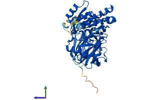 AlphaFold protein structure predicition of Mouse Recombinant Clp1 Protein, UniprotID Q99LI9 (CLP1 Protein (AA 1-425) (His tag))