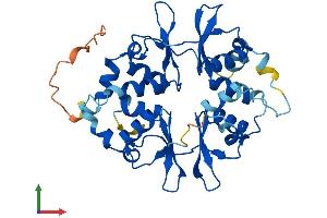 Protein Structure (PS) image for Protein Kinase, AMP-Activated, gamma 1 Non-Catalytic Subunit (PRKAG1) (AA 1-330) protein (His tag) (ABIN7562453)