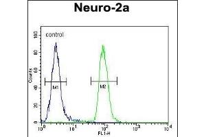 CIRH1A Antibody (N-term) (ABIN653909 and ABIN2843146) flow cytometric analysis of Neuro-2a cells (right histogram) compared to a negative control cell (left histogram).