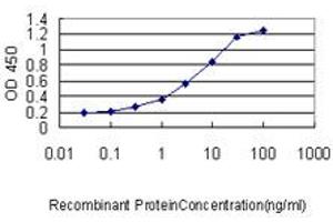 Detection limit for recombinant GST tagged E2F6 is approximately 0. (E2F6 antibody  (AA 1-281))