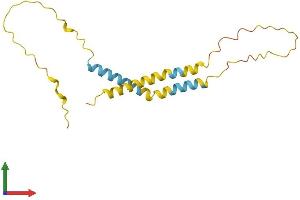 AlphaFold protein structure predicition of Human Recombinant C20orf141 Protein, UniprotID Q9NUB4