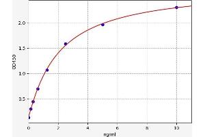 Typical standard curve (HIST1H2BB ELISA Kit)