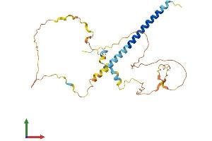 AlphaFold protein structure predicition of Mouse Recombinant Prr7 Protein, UniprotID Q3V0I2 (PRR7 Protein (AA 1-269) (His tag))