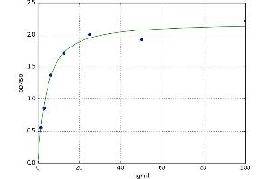 Lactate Dehydrogenase B (LDHB) ELISA Kit