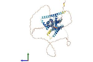 AlphaFold protein structure predicition of Mouse Recombinant Gpr50 Protein, UniprotID O88495