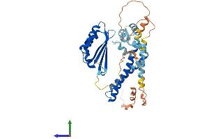 AlphaFold protein structure predicition of Human Recombinant NECAB3 Protein, UniprotID Q96P71