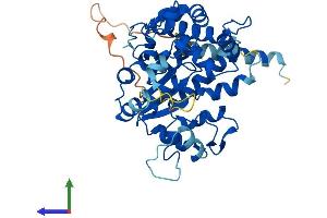 AlphaFold protein structure predicition of Mouse Recombinant Chst1 Protein, UniprotID Q9EQC0 (CHST1 Protein (AA 1-411) (His tag))
