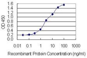 Detection limit for recombinant GST tagged SYCE1 is 0. (SYCE1 antibody  (AA 1-190))