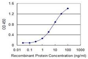 Detection limit for recombinant GST tagged TINF2 is 0. (TINF2 antibody  (AA 256-354))