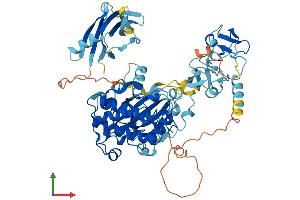 AlphaFold protein structure predicition of Human Recombinant PRKCD Protein, UniprotID Q05655 (PKC delta Protein (AA 1-676) (His tag))