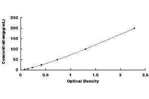 Nerve Growth Factor ELISA Kit