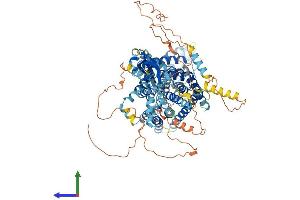 AlphaFold protein structure predicition of Mouse Recombinant Clcn2 Protein, UniprotID Q9R0A1 (CLCN2 Protein (AA 1-908) (His tag))