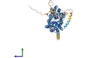 AlphaFold protein structure predicition of Human Recombinant SLCO1C1 Protein, UniprotID Q9NYB5
