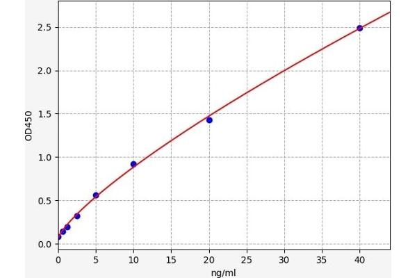 HILPDA ELISA Kit