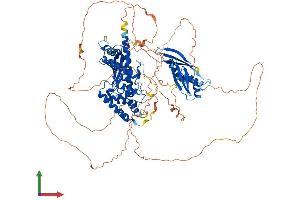 AlphaFold protein structure predicition of Human Recombinant ILF3 Protein, UniprotID Q12906