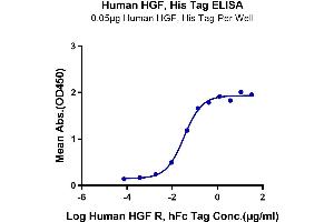 Immobilized Human HGF, His Tag at 0. (HGF Protein (AA 32-728) (His tag))