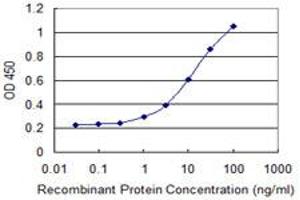 Detection limit for recombinant GST tagged TRNT1 is 0. (Trnt1 antibody  (AA 1-405))