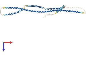 CEP55 Protein (AA 1-464) (His tag)