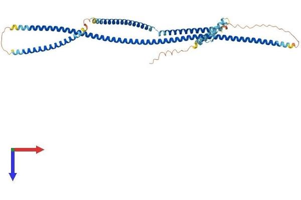 CEP55 Protein (AA 1-464) (His tag)