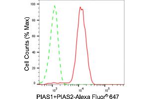 Flow cytometric analysis of PIAS1+PIAS2 expression in HeLa cells using PIAS1+PIAS2 antibody (ABIN7798418), 1:2,000). (Recombinant E3 SUMO-Protein Ligase PIAS3 (LOC101740849) antibody)