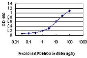 ELISA image for anti-Mitogen-Activated Protein Kinase 13 (MAPK13) (AA 251-365) antibody (ABIN562421)