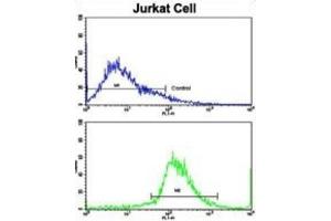 Flow Cytometry (FACS) image for anti-Cat Eye Syndrome Chromosome Region, Candidate 5 (CECR5) antibody (ABIN3003803) (CECR5 antibody)