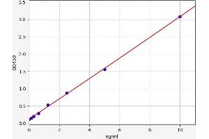 Cross Linked C-Telopeptide of Type II Collagen (CTX-II) ELISA Kit