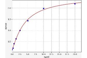 Typical standard curve (CD93 ELISA Kit)