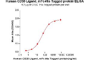 ELISA plate pre-coated by 2 μg/mL (100 μL/well) Human CD30, His tagged protein (ABIN6961166) can bind Human CD30 Ligand,mFc-His tagged protein(ABIN6961111) in a linear range of 2. (TNFSF8 Protein (mFc-His Tag))