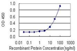 Detection limit for recombinant GST tagged ADH5 is 1 ng/ml as a capture antibody. (ADH5 antibody  (AA 1-374))