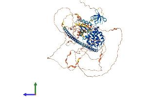 AlphaFold protein structure predicition of Mouse Recombinant Map3k10 Protein, UniprotID Q66L42 (MAP3K10 Protein (AA 1-940) (His tag))